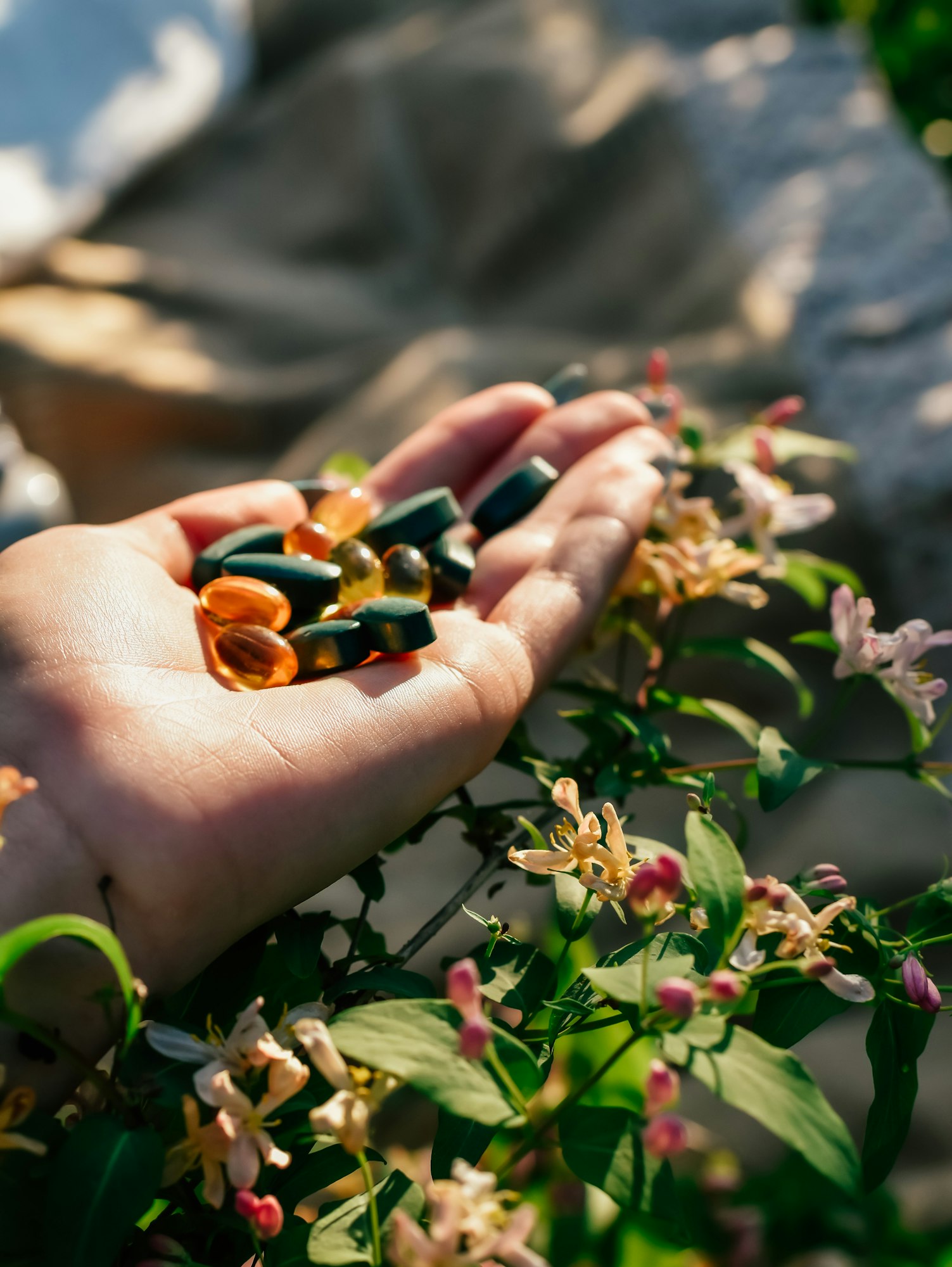 Hand holding vitamins and minerals